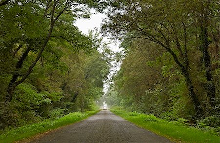 A car travelling down a  Frech road Stock Photo - Rights-Managed, Code: 841-07523619