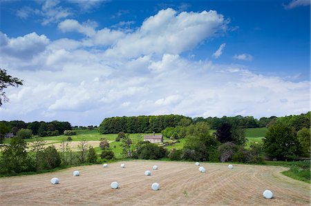 simsearch:841-07540502,k - English countryside with chapel in a field, St Oswald's, in The Cotswolds, Oxfordshire Stock Photo - Rights-Managed, Code: 841-07523689