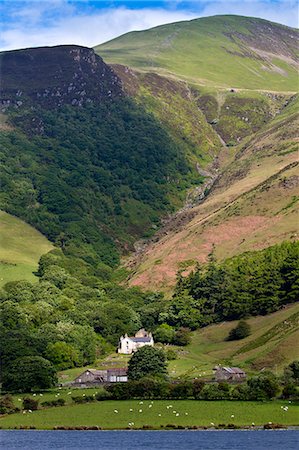 simsearch:841-07540502,k - Hill farm on mountain slopes at Tal-Y-LLyn, Snowdonia, Gwynned, Wales Stock Photo - Rights-Managed, Code: 841-07523790