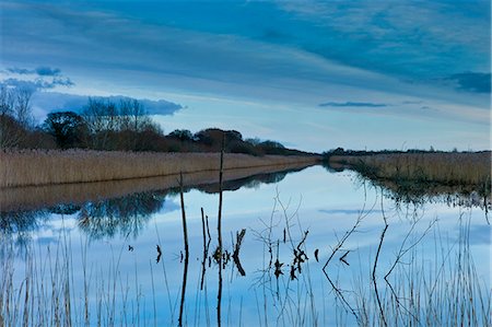 simsearch:841-07540502,k - Avalon Marshes at Shapwick Heath Nature Reserve in Somerset, UK Stock Photo - Rights-Managed, Code: 841-07540411