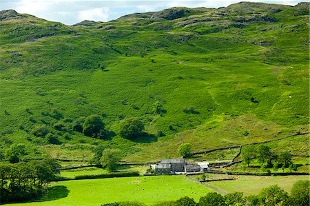 Hill farm smallholding in Hard Knott Pass near Eskdale in the Lake District National Park, Cumbria, UK Foto de stock - Con derechos protegidos, Código: 841-07540522