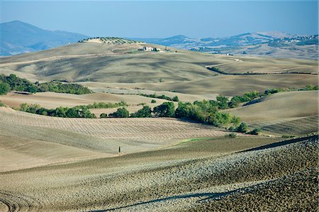 simsearch:841-07540502,k - Undulating hills by San Quirico d'Orcia, in the Val D'Orcia area of Tuscany, Italy Stock Photo - Rights-Managed, Code: 841-07540595