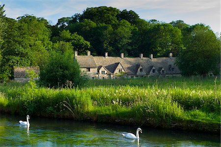 Swans on River Coln by Arlington Row cottages traditional almshouses in Bibury, Gloucestershire, The Cotswolds, UK Stock Photo - Rights-Managed, Code: 841-07540716