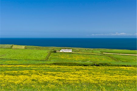 Traditional cottage on the Atlantic coast at Killard, County Clare, West Coast of Ireland Stock Photo - Rights-Managed, Code: 841-07540825