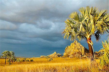 Sandstone massif in the Isolo National Park, Madagascar, Africa Stock Photo - Rights-Managed, Code: 841-07540988