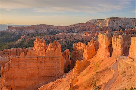 Bryce Canyon at dawn, from Sunset Point, Bryce Canyon National Park, Utah, United States of America, North America Stock Photo - Rights-Managed, Code: 841-07590148