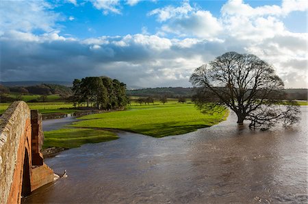 flood - Floodwaters, Lazonby Bridge, River Eden, Eden Valley, Cumbria, England, United Kingdom, Europe Stock Photo - Rights-Managed, Code: 841-07653239