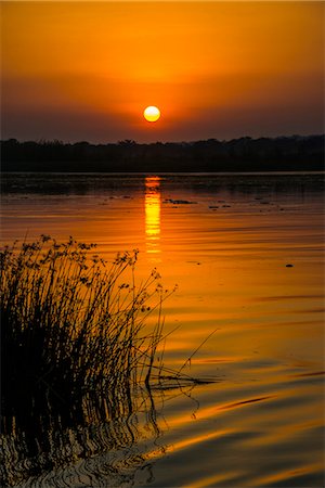 simsearch:862-03355195,k - Sunrise over the Nile in the Murchison Falls National Park, Uganda, East Africa, Africa Stock Photo - Rights-Managed, Code: 841-07653389