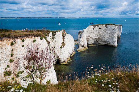 simsearch:841-07783088,k - Chalk stacks and cliffs at Old Harry Rocks, between Swanage and Purbeck, Dorset, Jurassic Coast, UNESCO World Heritage Site, England, United Kingdom, Europe Stock Photo - Rights-Managed, Code: 841-07781875