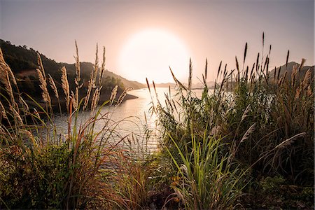 Reeds and setting sun at the shore of Qiandao Lake in Zhejiang province, China, Asia Stock Photo - Rights-Managed, Code: 841-07782062