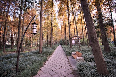 Forest path with bench and lanterns in a West Lake park, Hangzhou, Zhejiang, China, Asia Stock Photo - Rights-Managed, Code: 841-07782101