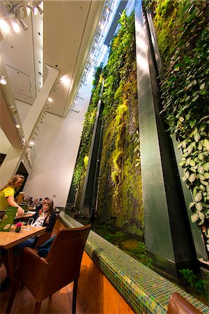 europe coffee shop - Vertical garden (living wall) designed by Patrick Blanc at the Dussman Das Kulturkaufhaus in Berlin, Germany, Europe Stock Photo - Rights-Managed, Code: 841-07782183