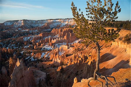 Bryce Canyon National Park, Utah, United States of America, North America Stock Photo - Rights-Managed, Code: 841-07782204