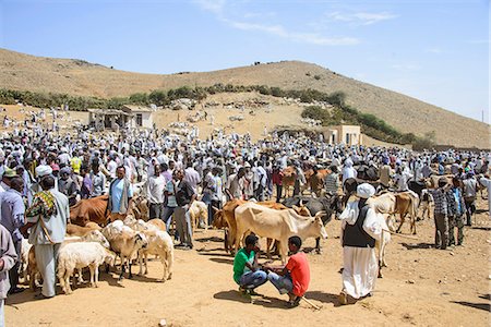 simsearch:862-06543210,k - The Monday animal market of Keren, Eritrea, Africa Stock Photo - Rights-Managed, Code: 841-07782936