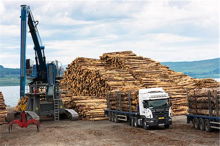 Logging and timber production and transportation at Craignure on the Isle of Mull, Inner Hebrides, Scotland, United Kingdom, Europe Stock Photo - Rights-Managed, Code: 841-07913725