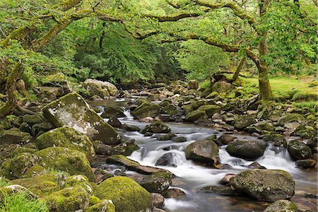 simsearch:841-06030590,k - Rocky River Plym flowing through Dewerstone Wood, Dartmoor, Devon, England, United Kingdom, Europe Stock Photo - Rights-Managed, Code: 841-08031494