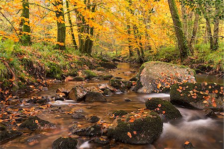 simsearch:841-06030590,k - River Teign surrounded by autumnal trees, Dartmoor, Devon, England, United Kingdom, Europe Stock Photo - Rights-Managed, Code: 841-08031527