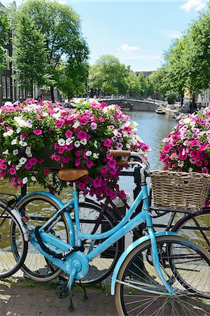 Brightly coloured blue bicycle and flower baskets on a bridge over a canal, Utrechtsestraat, Amsterdam, North Holland, Netherlands, Europe Foto de stock - Direito Controlado, Número: 841-08059577