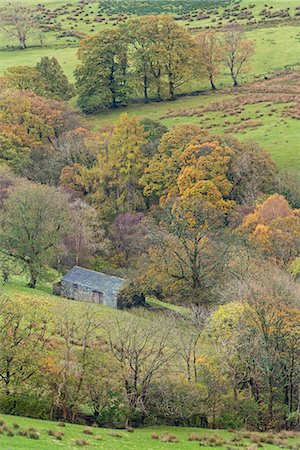 simsearch:841-07590500,k - Stone barn surrounded with autumnal trees, Newlands Valley, Lake District National Park, Cumbria, England, United Kingdom, Europe Stock Photo - Rights-Managed, Code: 841-08101990