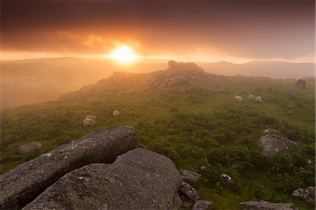 simsearch:841-06343543,k - Misty summer sunset at Holwell Tor in Dartmoor National Park, Devon, England,United Kingdom, Europe Foto de stock - Con derechos protegidos, Código: 841-08102054