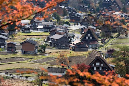 Gassho-zukuri folk houses, Ogimachi village, Shirakawa-go, near Takayama, Central Honshu, Japan, Asia Stock Photo - Rights-Managed, Code: 841-08102247