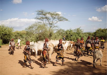 simsearch:841-06342688,k - Jumping of the Bulls Ceremony, Hamar Tribe, Turmi, Omo Valley, Ethiopia, Africa Stock Photo - Rights-Managed, Code: 841-08102273
