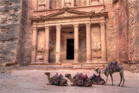 four animals - Camels in front of the Treasury, Petra, UNESCO World Heritage Site, Jordan, Middle East Stock Photo - Rights-Managed, Code: 841-08221032