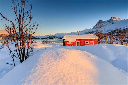 simsearch:841-08244166,k - The winter sun illuminates a typical Norwegian red house surrounded by fresh snow, Svolvaer, Lofoten Islands, Arctic, Norway, Scandinavia, Europe Stock Photo - Rights-Managed, Code: 841-08244013