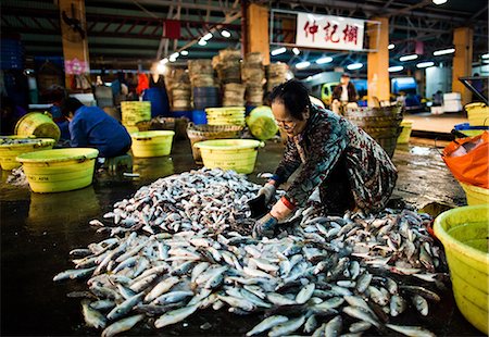 simsearch:841-07081180,k - Aberdeen Fish Market, Hong Kong, China, Asia Stock Photo - Rights-Managed, Code: 841-08279158
