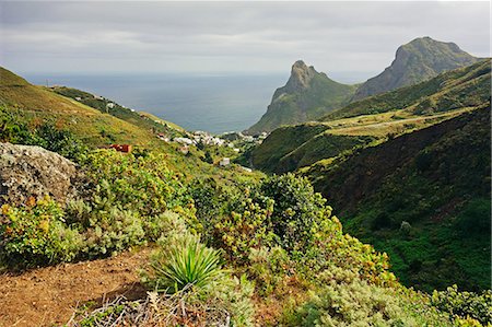 Taganana village, Anaga Mountains, Tenerife, Canary Islands, Spain, Atlantic, Europe Stock Photo - Rights-Managed, Code: 841-08279373