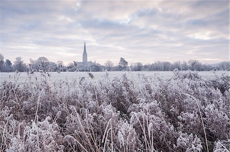 simsearch:841-08240211,k - Salisbury Cathedral at dawn in winter, Salisbury, Wiltshire, England, United Kingdom, Europe Photographie de stock - Rights-Managed, Code: 841-08279499