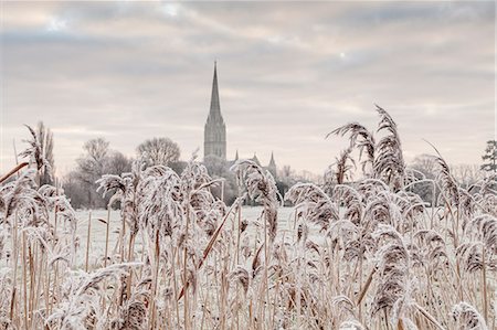 simsearch:841-08240211,k - Salisbury athedral at dawn in winter, Salisbury, Wiltshire, England, United Kingdom, Europe Stock Photo - Rights-Managed, Code: 841-08279500