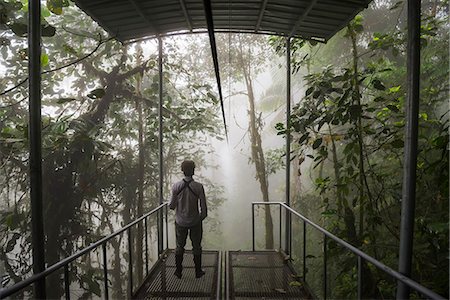 Mashpi Lodge Sky Bike station on a misty morning in the Choco Rainforest, Pichincha Province, Ecuador, South America Stock Photo - Rights-Managed, Code: 841-08421009