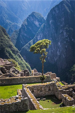 simsearch:841-06034486,k - Machu Picchu Inca ruins, UNESCO World Heritage Site, Cusco Region, Peru, South America Photographie de stock - Rights-Managed, Code: 841-08421003