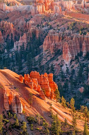 rocky mountain national park - Bryce Canyon National Park, Utah, United States of America, North America Stock Photo - Rights-Managed, Code: 841-08421461