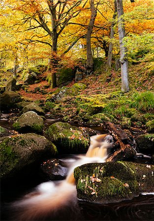 simsearch:841-06031530,k - Padley Gorge, Peak District, Derbyshire, England, United Kingdom, Europe Stock Photo - Rights-Managed, Code: 841-08421528