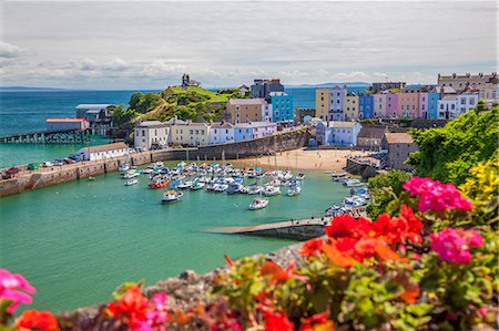 Tenby, Pembrokeshire, Wales, United Kingdom, Europe Stock Photo - Rights-Managed, Code: 841-08438725