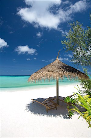 Lounge chairs under shade of umbrella on tropical beach, Maldives, Indian Ocean, Asia Stock Photo - Rights-Managed, Code: 841-08569001