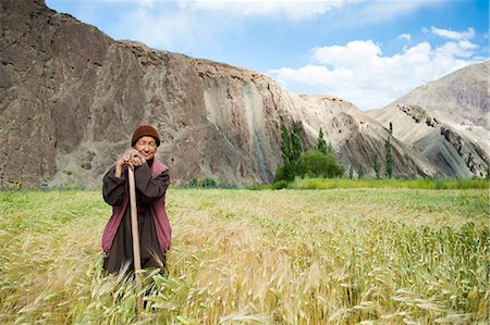 people ladakh - A woman stands to have her picture taken while working in a wheat field in Ladakh, India, Asia Stock Photo - Rights-Managed, Code: 841-08663564