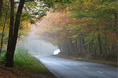 Road running through foggy autumnal woodland, near Stow-on-the-Wold, Cotswolds, Gloucestershire, England, United Kingdom, Europe Stock Photo - Rights-Managed, Code: 841-08663676