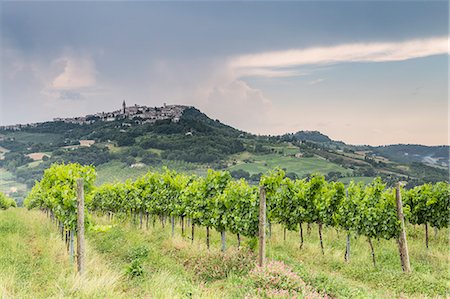 simsearch:841-08860890,k - Vineyards near to Todi, Umbria, Italy, Europe Stock Photo - Rights-Managed, Code: 841-08798018