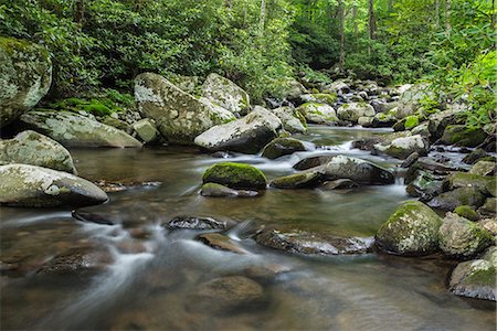 Mountain creek flowing through dense forest woods near the Appalachian Trail, North Carolina, United States of America, North America Stock Photo - Rights-Managed, Code: 841-08821629