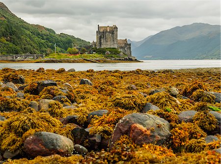 simsearch:841-07589927,k - View of the Eilean Donan Castle, Dornie, Highlands, Scotland, United Kingdom, Europe Stock Photo - Rights-Managed, Code: 841-08887378