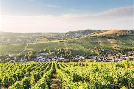 simsearch:841-08860890,k - The vineyards of Sancerre above Chavignol, Cher, Centre, France, Europe Stock Photo - Rights-Managed, Code: 841-08887521