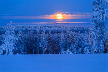 sunrise scenes photographs - Lunar sunrise over the woods of Lapland, Hukanmaa/Kitkiojoki, Norbottens Ian, Lapland, Sweden, Scandinavia, Europe Stock Photo - Rights-Managed, Code: 841-09059915