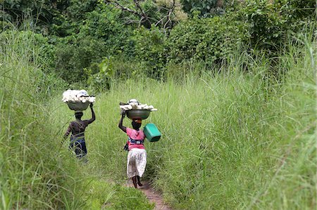 Women carrying platter with cassava on head, Togo, West Africa, Africa Stock Photo - Rights-Managed, Code: 841-09060033