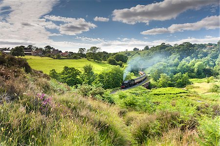 simsearch:841-07783088,k - A steam locomotive at Darnholme on the North Yorkshire Railway line travelling from Whitby to Pickering, Yorkshire, England, United Kingdom, Europe Stock Photo - Rights-Managed, Code: 841-09076873