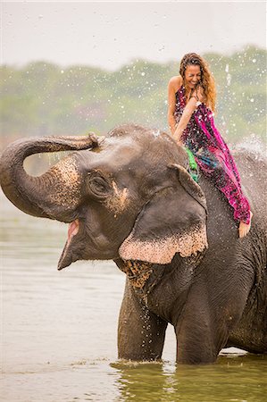 spraying - Woman sitting on an elephant getting an elephant shower, Chitwan Elephant Sanctuary, Nepal, Asia Stock Photo - Rights-Managed, Code: 841-09085983