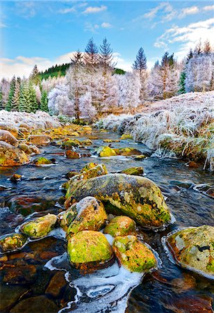 rivers and trees in winter - A winter view of the flowing water and colourful rocks of the River Polloch in the Ardnamurchan Peninsula, Scottish Highlands, Scotland, United Kingdom, Europe Stock Photo - Rights-Managed, Code: 841-09086136