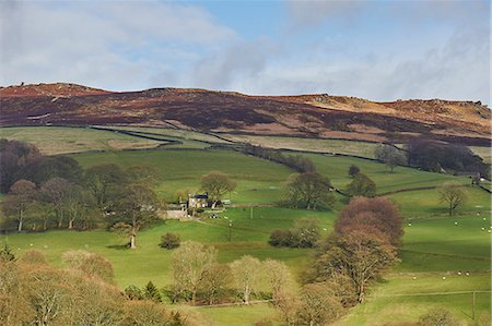 simsearch:841-07783088,k - Derwent Valley, Peak District National Park, Derbyshire, England, United Kingdom, Europe Stock Photo - Rights-Managed, Code: 841-09086270